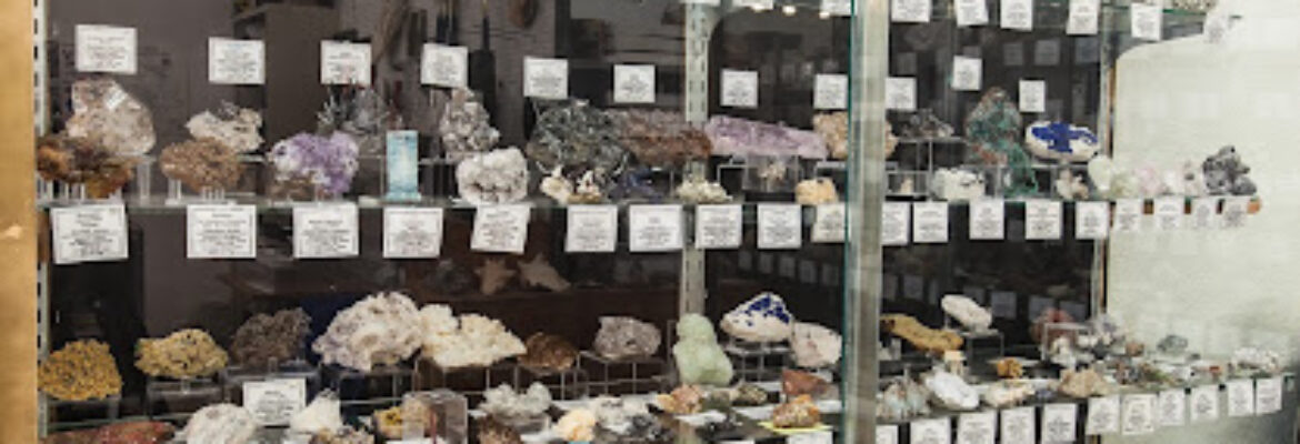 Nature’s Gallery