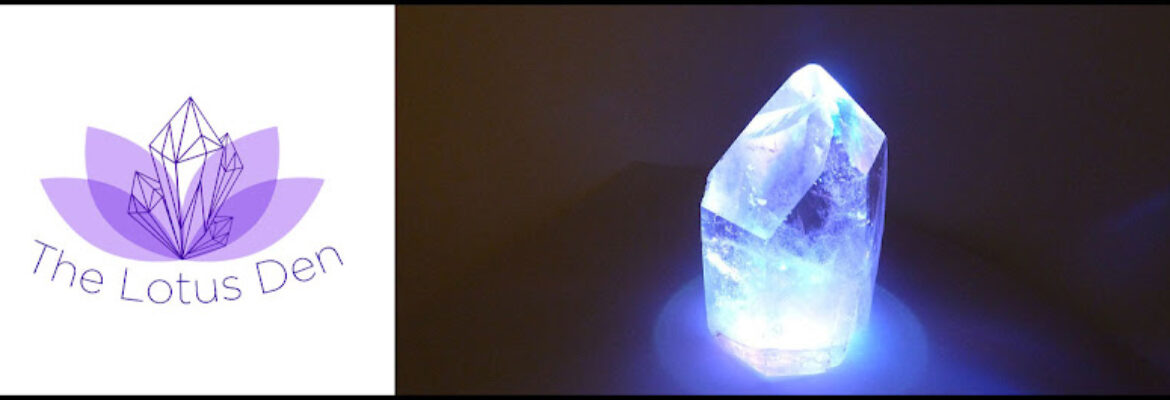 The Lotus Den
