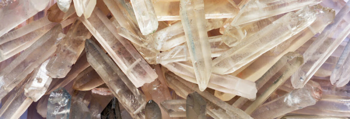 Robert Bentley Company