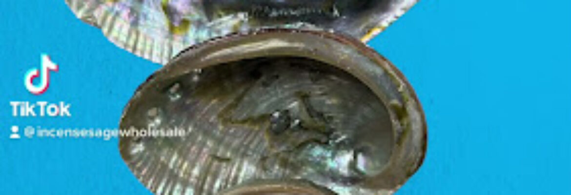 White Sage Smudge Wholesale