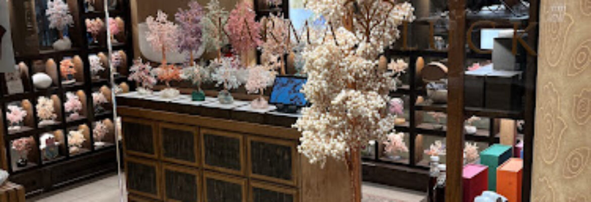 Karma and Luck Grand Central Station