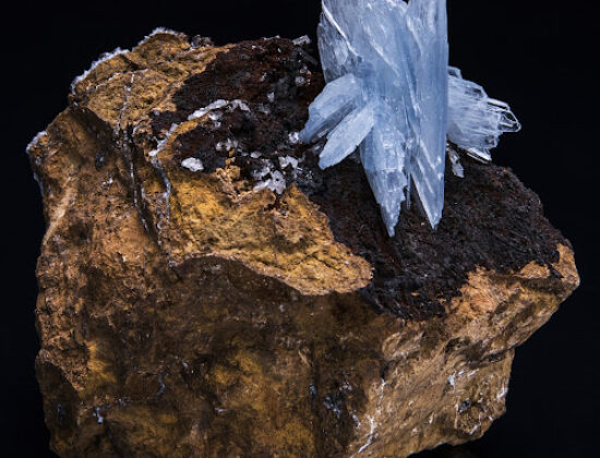 Astro West Fine Minerals, Fossils, and Meteorites