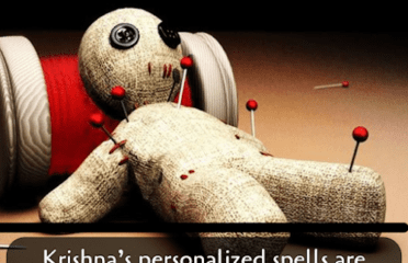 Astrologer psychic Shankar Krishna