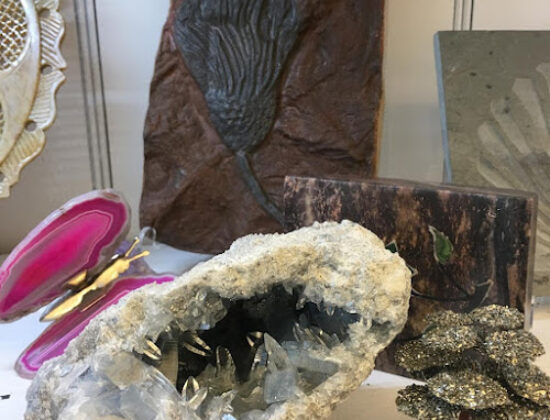 The Raven Collections