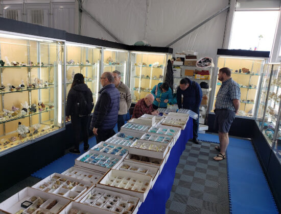La Fuente de Piedras Mineral Show