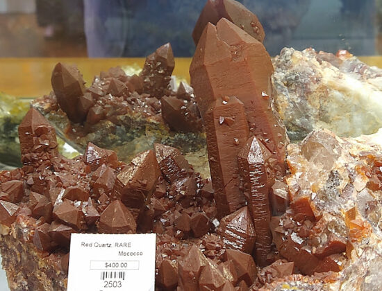 Prehistoric Rocks Fossils Minerals