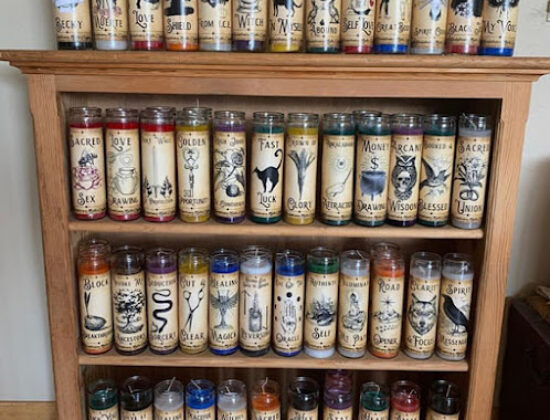 Revolutionary Mystic Shop & Black Moon Wolfdog Sanctuary