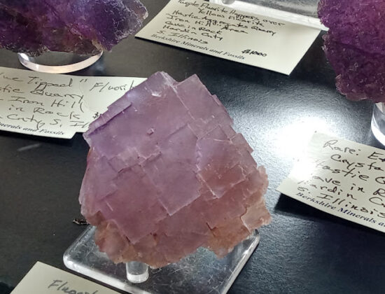 Foden’s Minerals