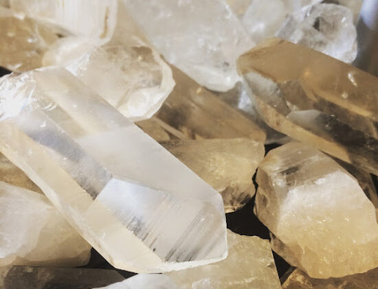 MEGAN & CO. Herbal Apothecary and Teahouse