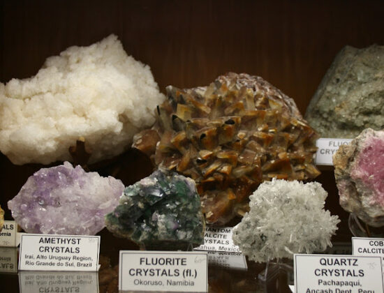 Gary’s Gem Garden