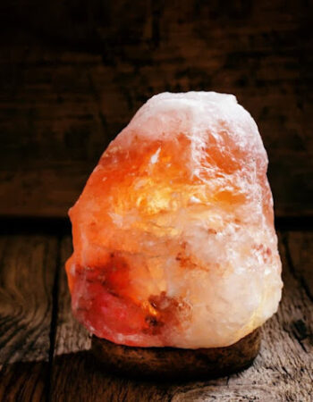 The Rock Shop