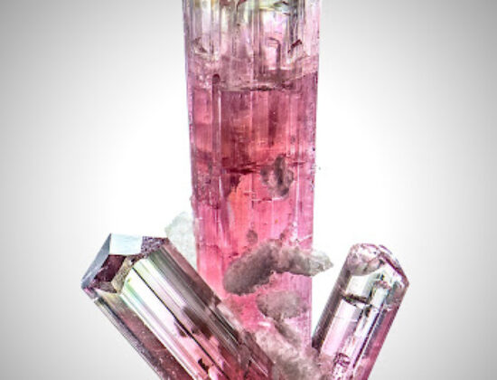 The Tucson Fine Mineral Gallery
