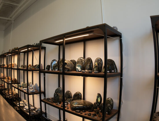Dimitridon Studios Rock Shop Ludington