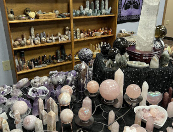 Wild Iris Imports